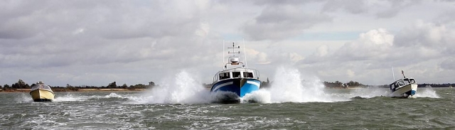 Cruising through the waves.jpg